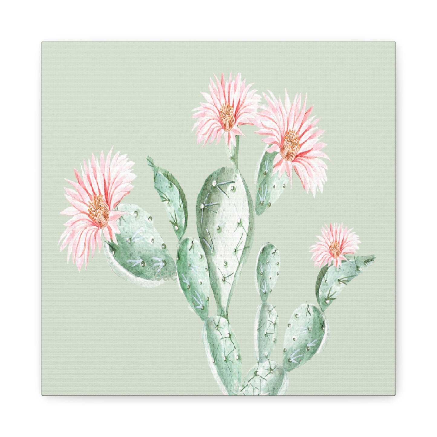 Cactus Flower Canvas Art Wall Print - Multiple Sizing Options - Cactus Floral Art Canvas, Western Home Decor, Nature Lovers Gift, Cactus Artwork