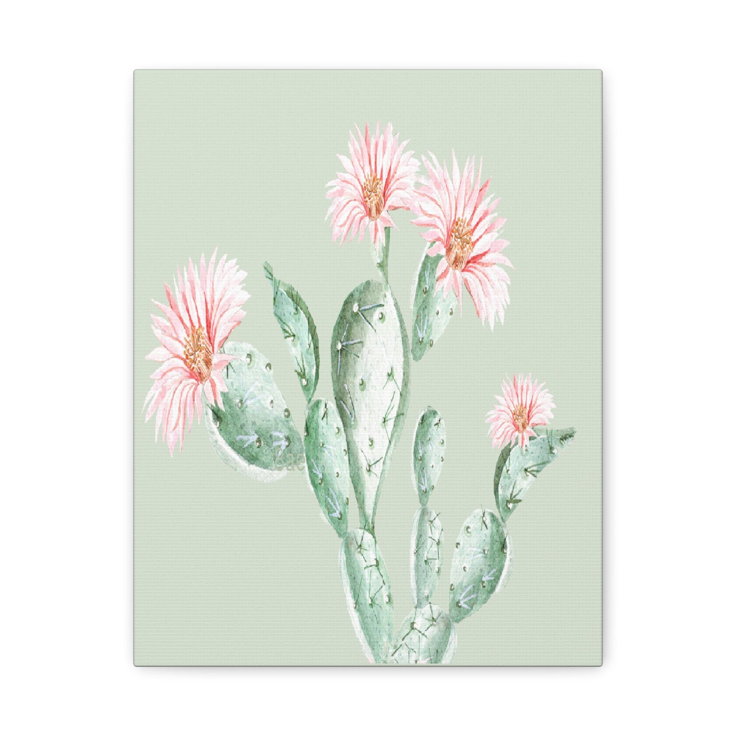 Cactus Flower Canvas Art Wall Print - Multiple Sizing Options - Cactus Floral Art Canvas, Western Home Decor, Nature Lovers Gift, Cactus Artwork