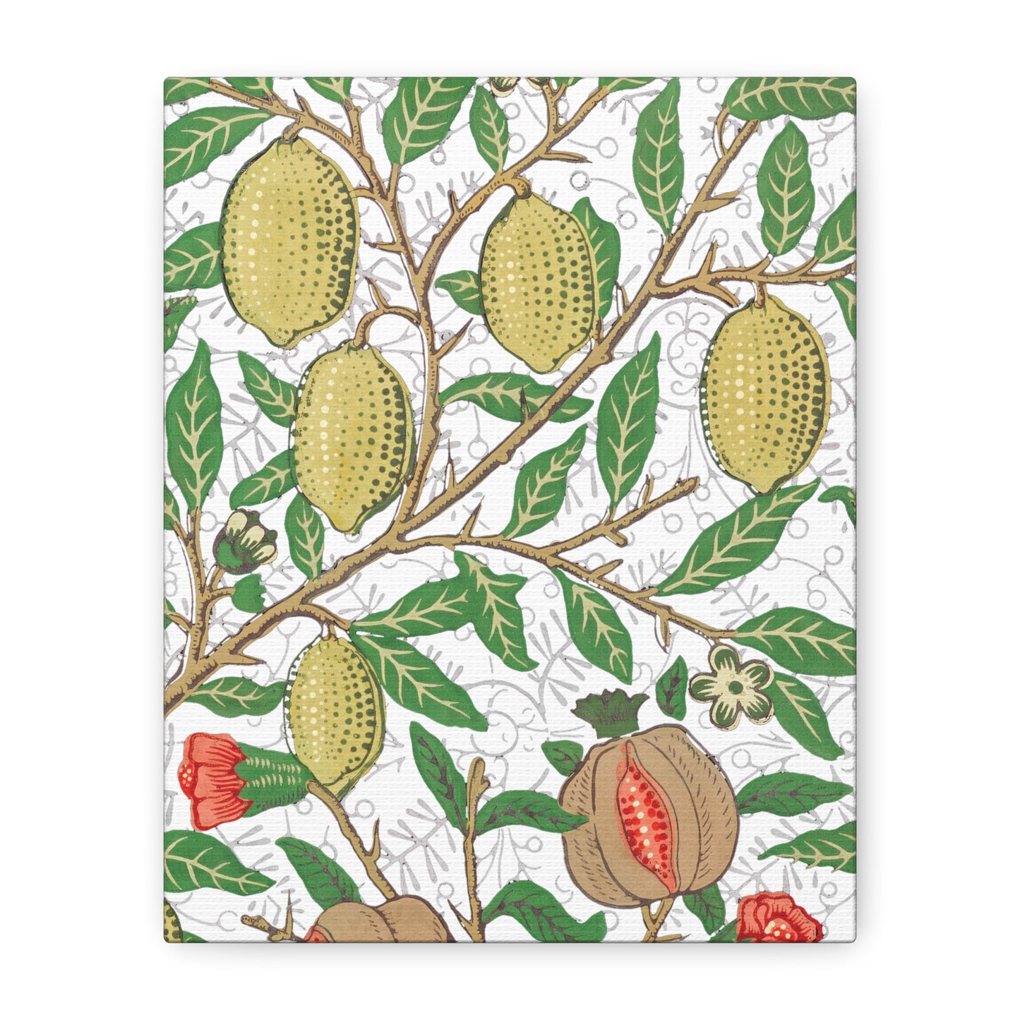 Lemon Verbena Canvas Art Print - Multiple Sizing Options - Stretched Canvas Wall Art, Botanical Wall Decor, Nature Art Print, Flower & Fruit Design, Fruit Illustration by Morris