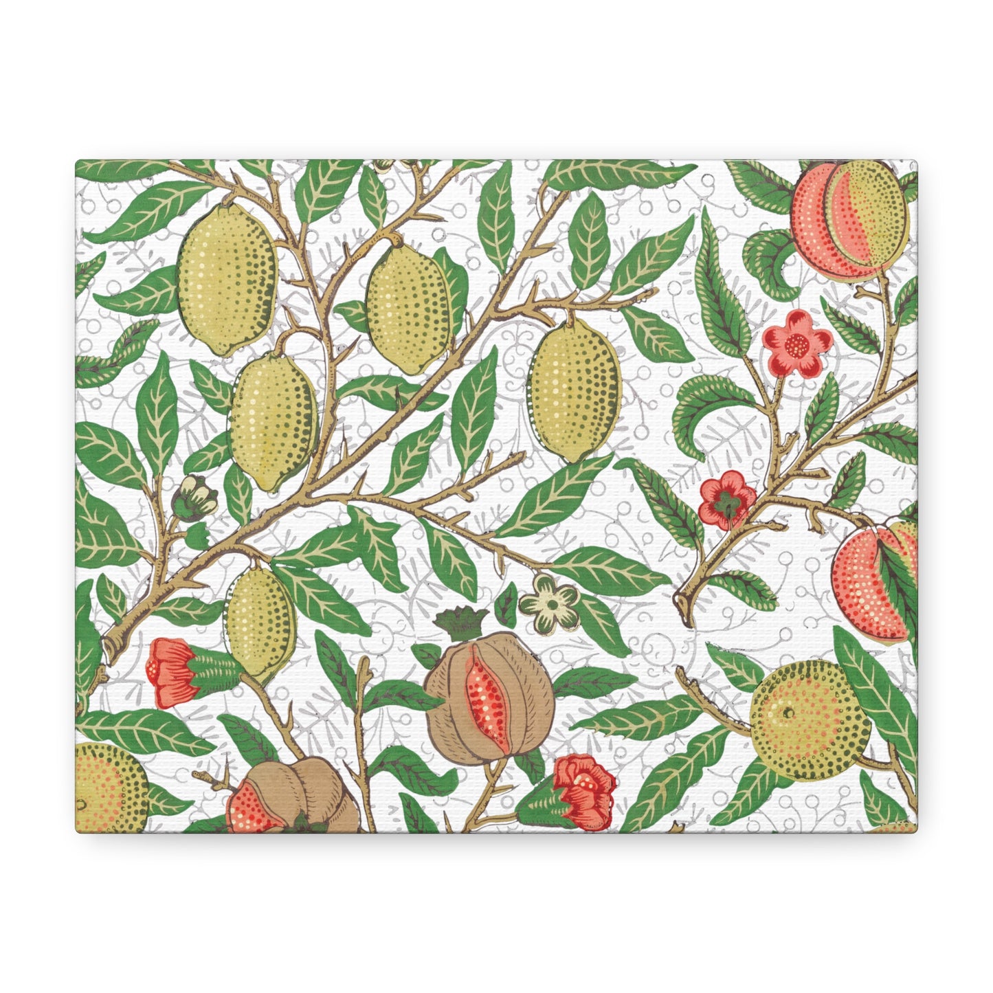Lemon Verbena Canvas Art Print - Multiple Sizing Options - Stretched Canvas Wall Art, Botanical Wall Decor, Nature Art Print, Flower & Fruit Design, Fruit Illustration by Morris