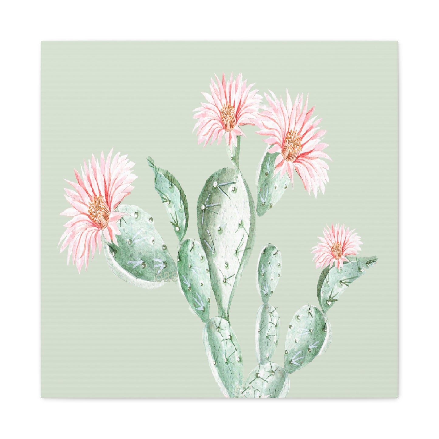Cactus Flower Canvas Art Wall Print - Multiple Sizing Options - Cactus Floral Art Canvas, Western Home Decor, Nature Lovers Gift, Cactus Artwork