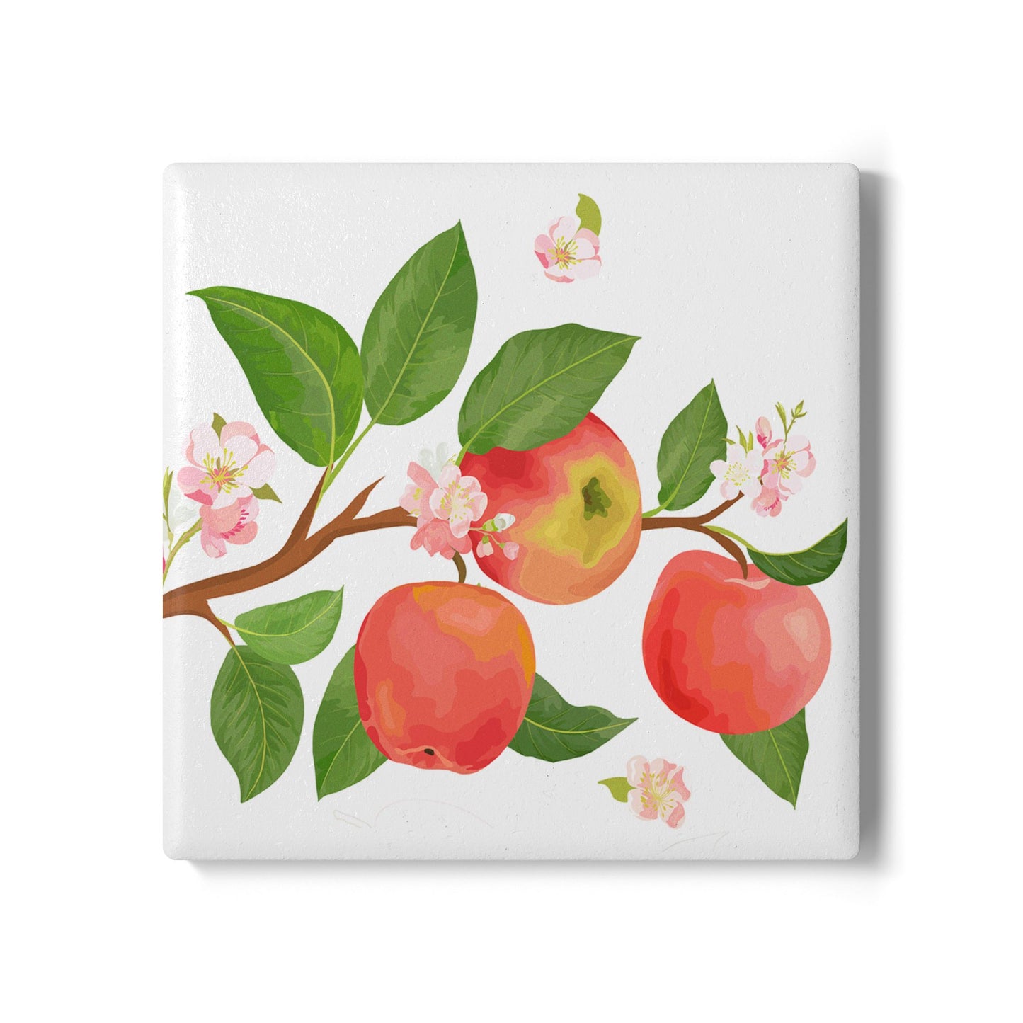 Apple Harvest - Ceramic Tile Coaster, Cork Backed - Round or Square Size Choices, Perfect for Apple Home Decor & Gifts - Priced per coaster