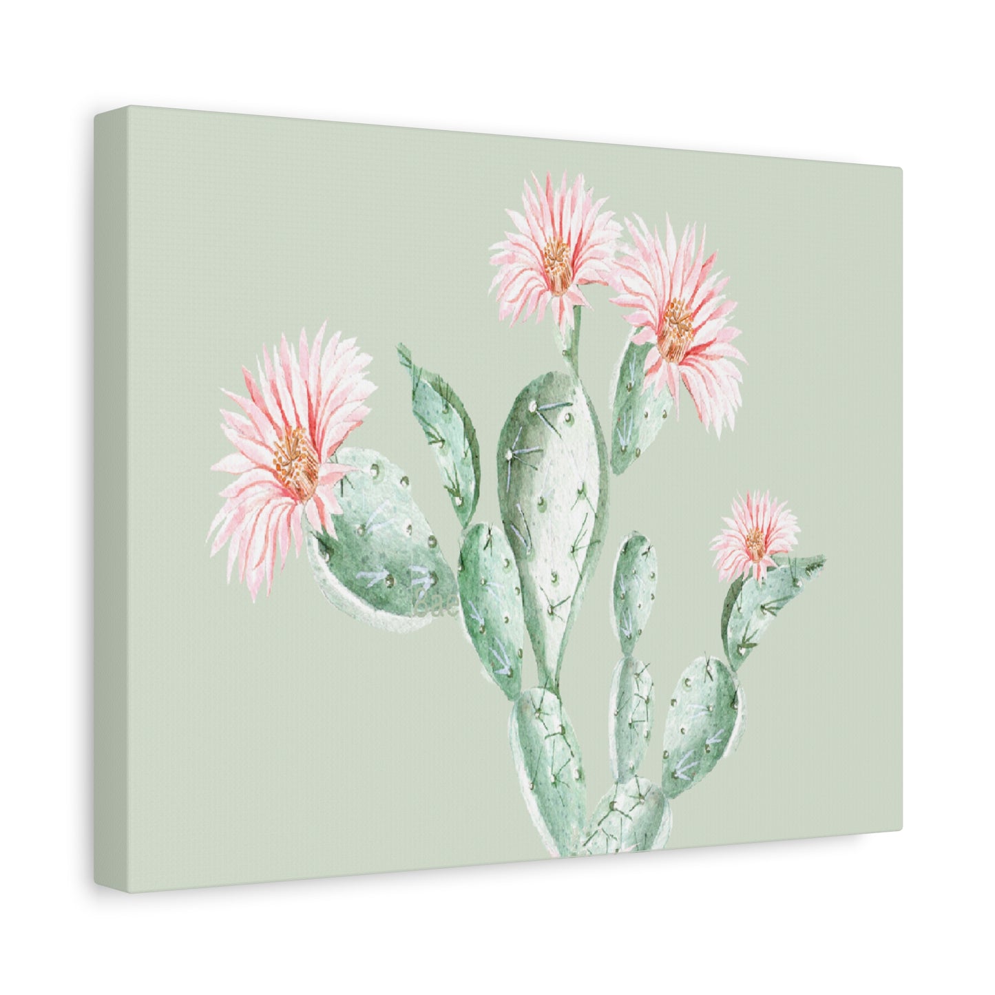 Cactus Flower Canvas Art Wall Print - Multiple Sizing Options - Cactus Floral Art Canvas, Western Home Decor, Nature Lovers Gift, Cactus Artwork