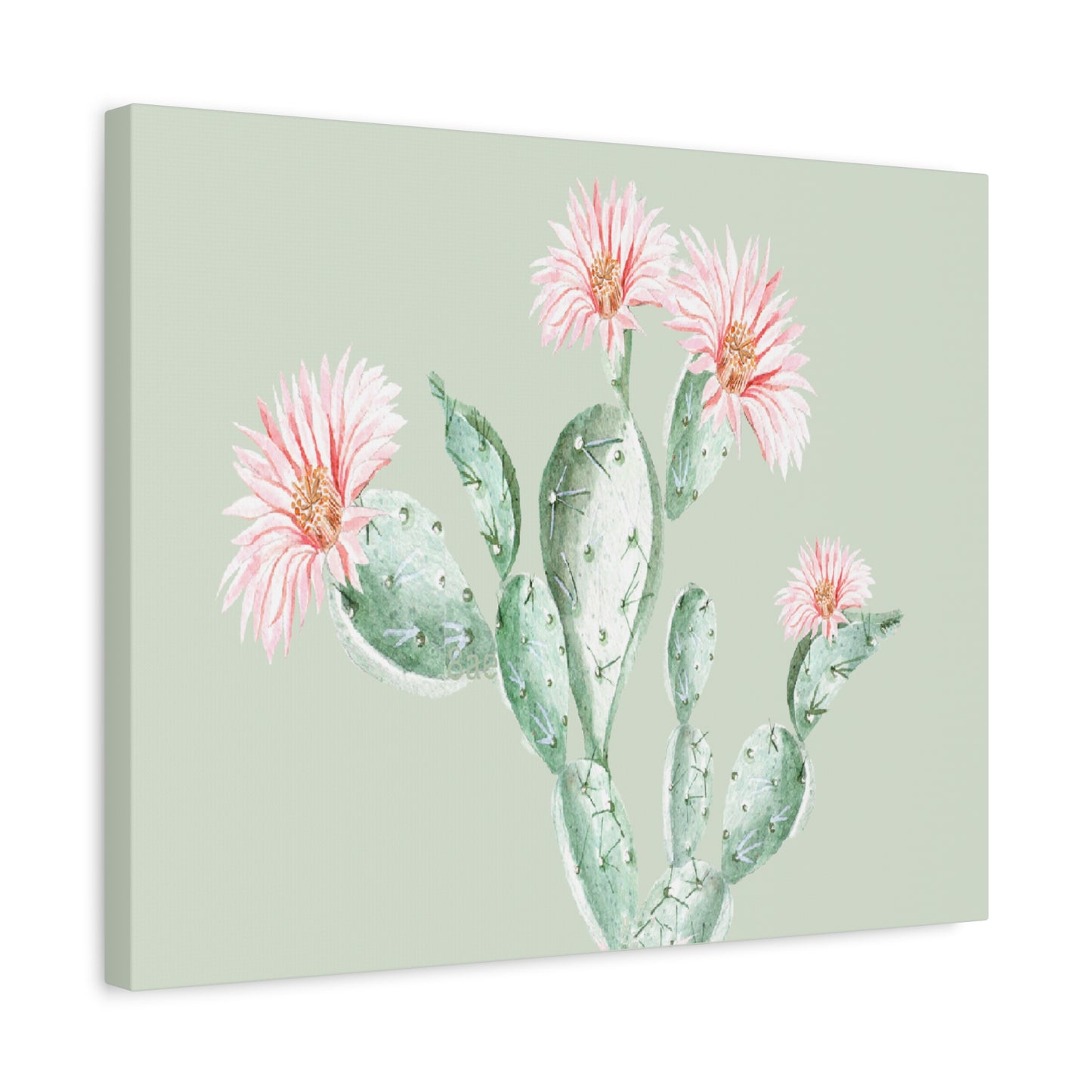 Cactus Flower Canvas Art Wall Print - Multiple Sizing Options - Cactus Floral Art Canvas, Western Home Decor, Nature Lovers Gift, Cactus Artwork