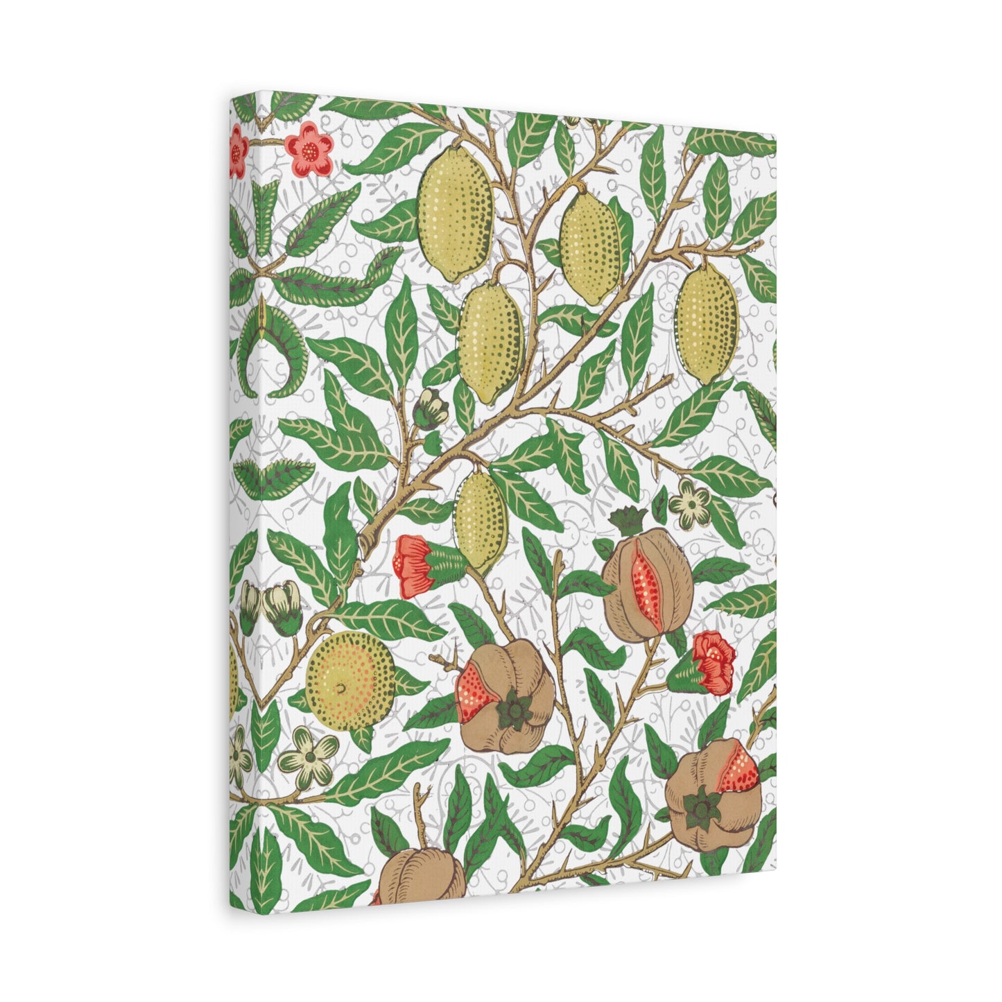 Lemon Verbena Canvas Art Print - Multiple Sizing Options - Stretched Canvas Wall Art, Botanical Wall Decor, Nature Art Print, Flower & Fruit Design, Fruit Illustration by Morris