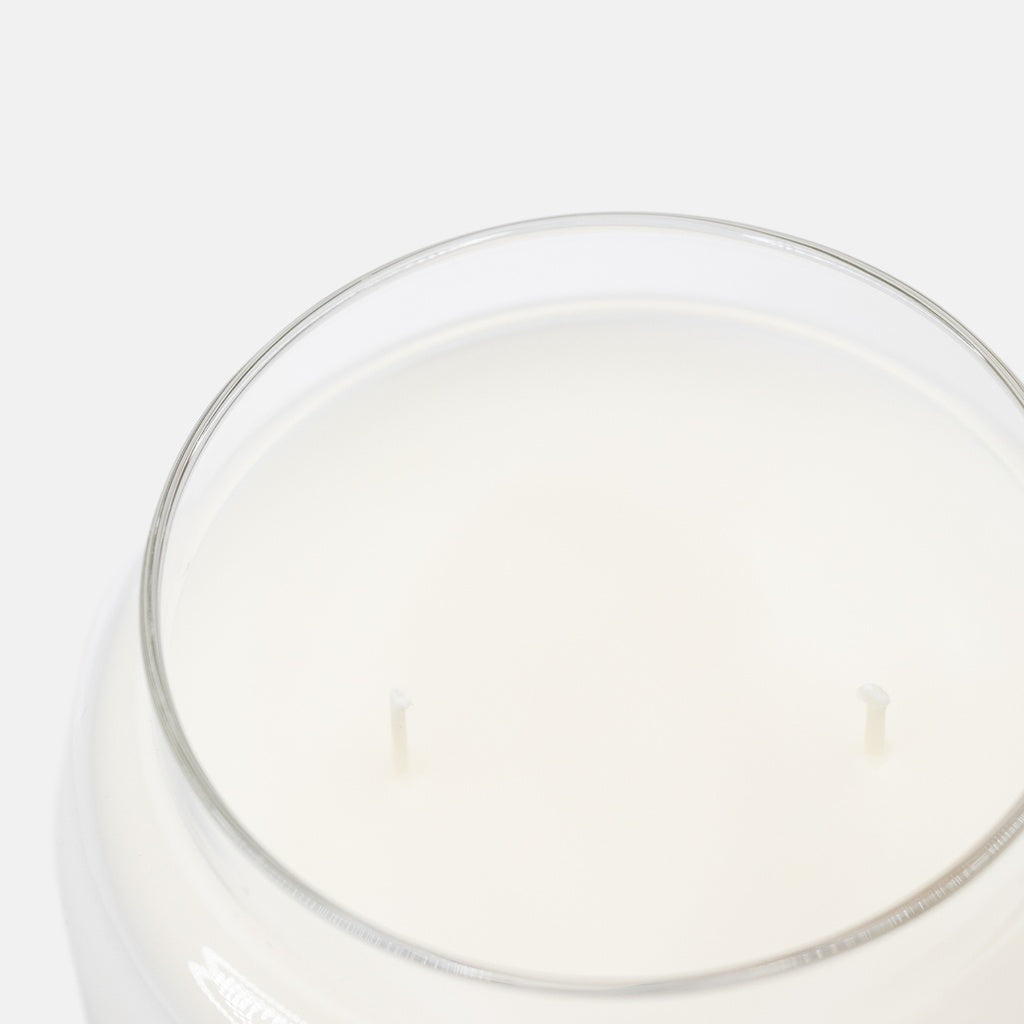 Double Wick Apothecary Candle Jar