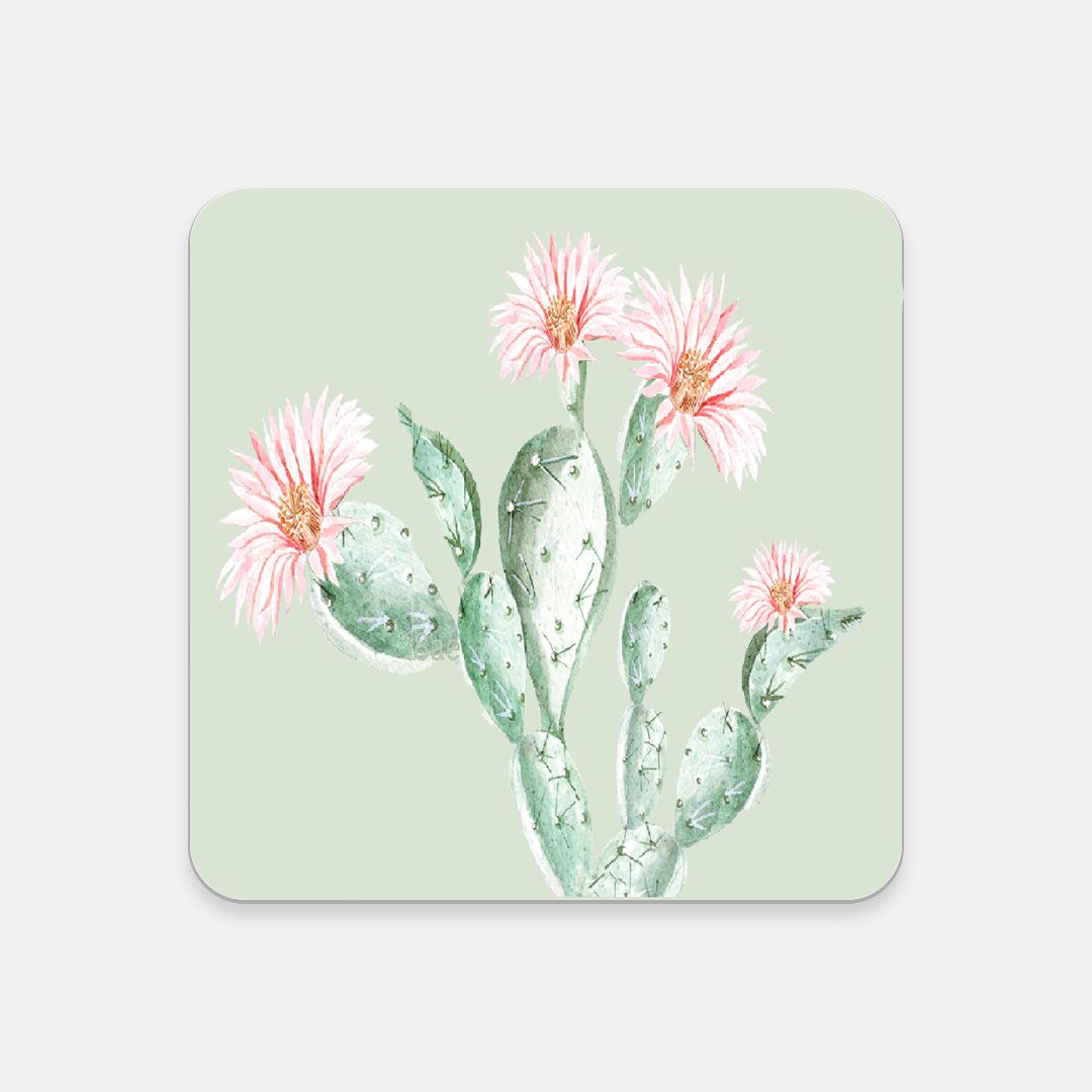 Cactus Flower - Square Hardboard Coaster, Cork Backed - 3.75" x 3.75" - Priced per coaster