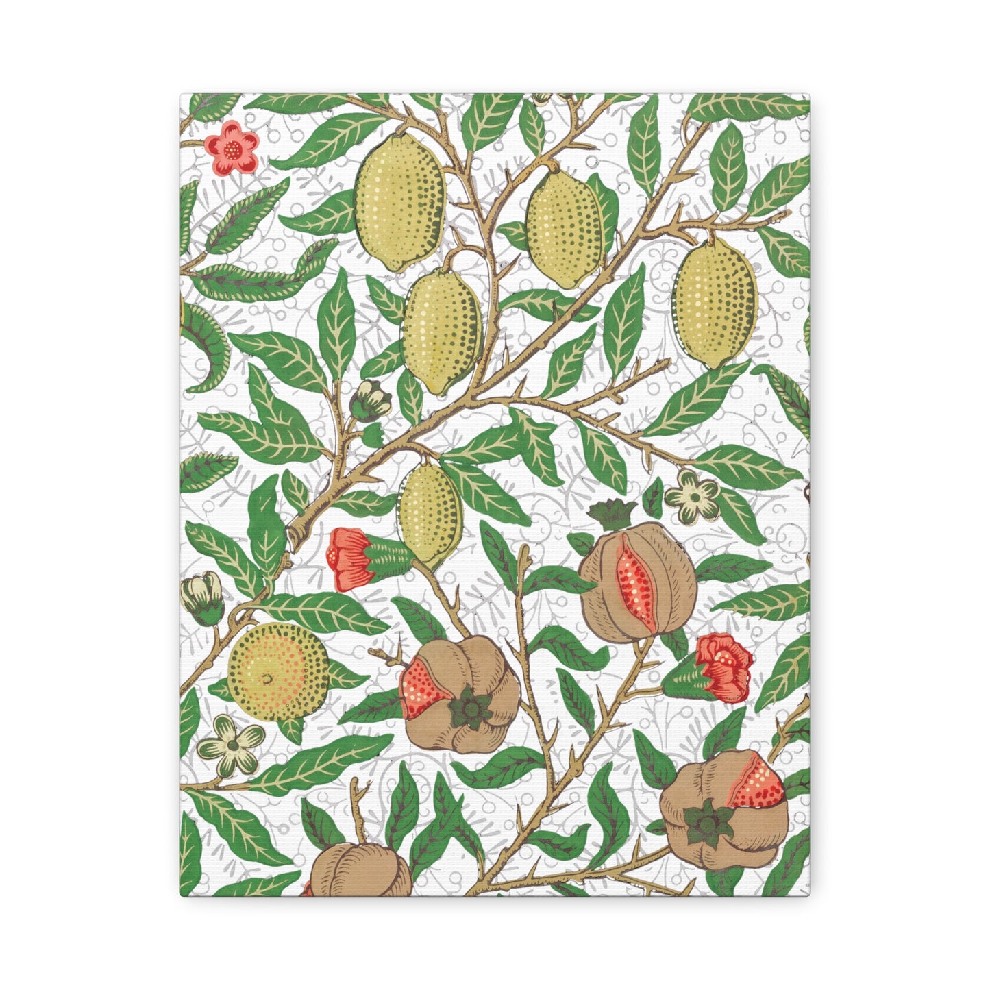 Lemon Verbena Canvas Art Print - Multiple Sizing Options - Stretched Canvas Wall Art, Botanical Wall Decor, Nature Art Print, Flower & Fruit Design, Fruit Illustration by Morris