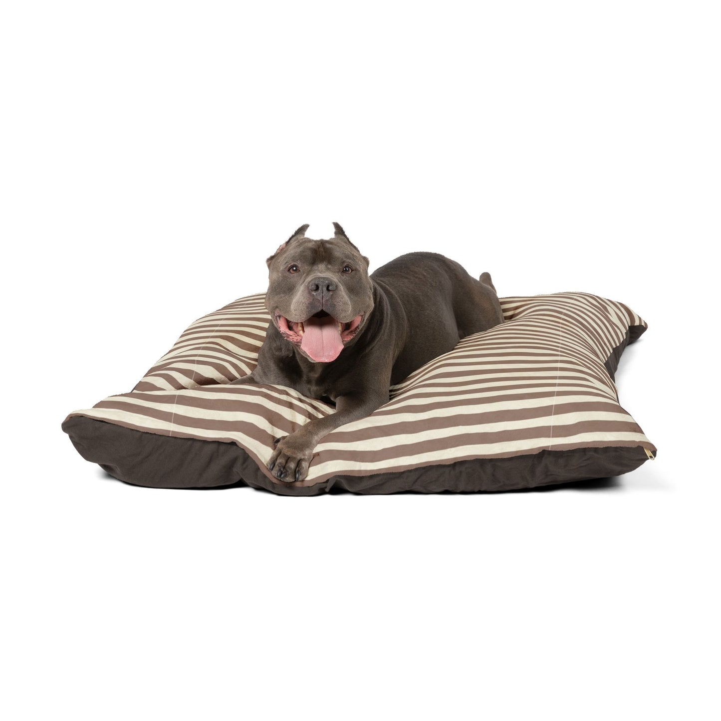 Dog lying on a mocha brown striped pet dog bed with a white background