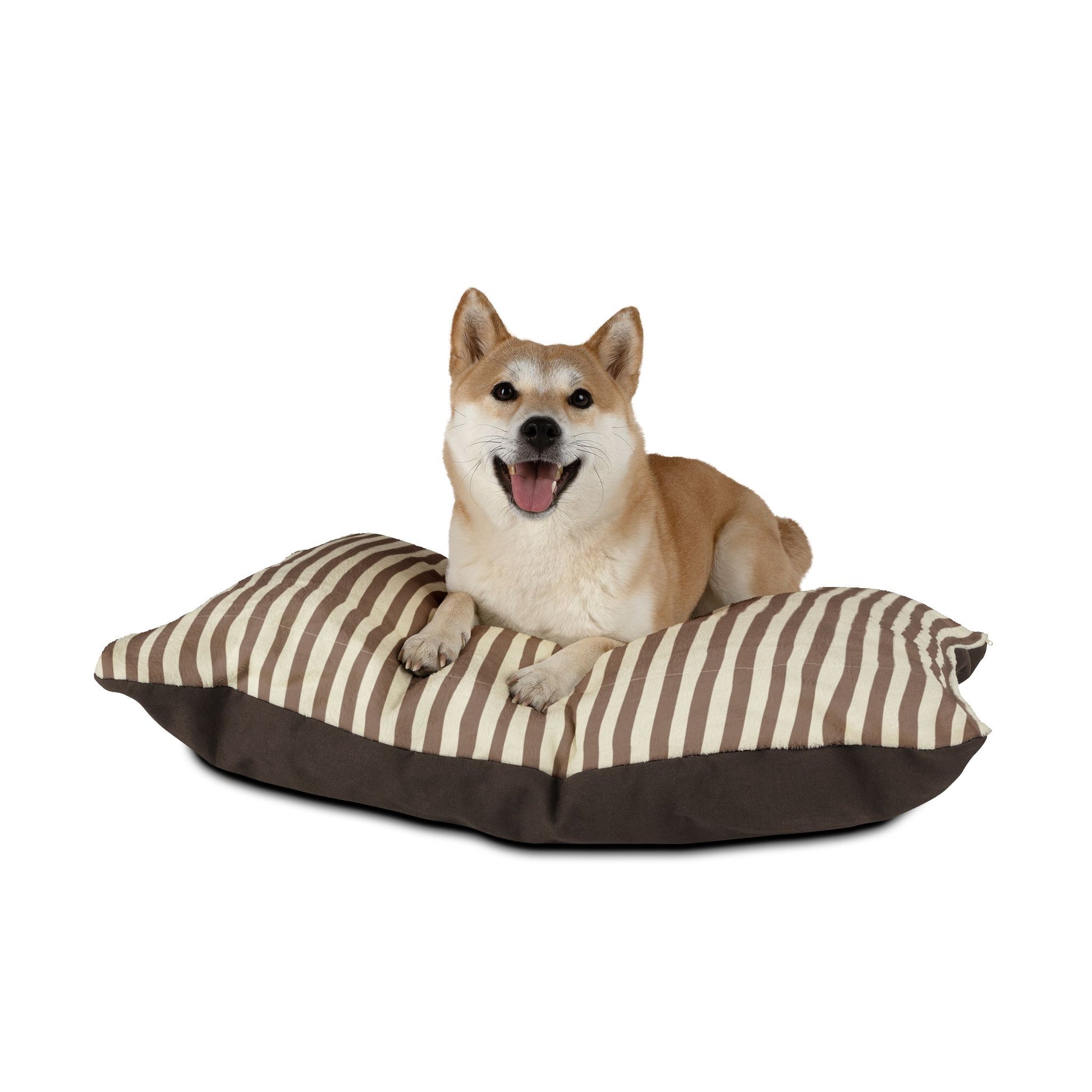 Dog sitting on a mocha brown striped pet dog bed with brown border