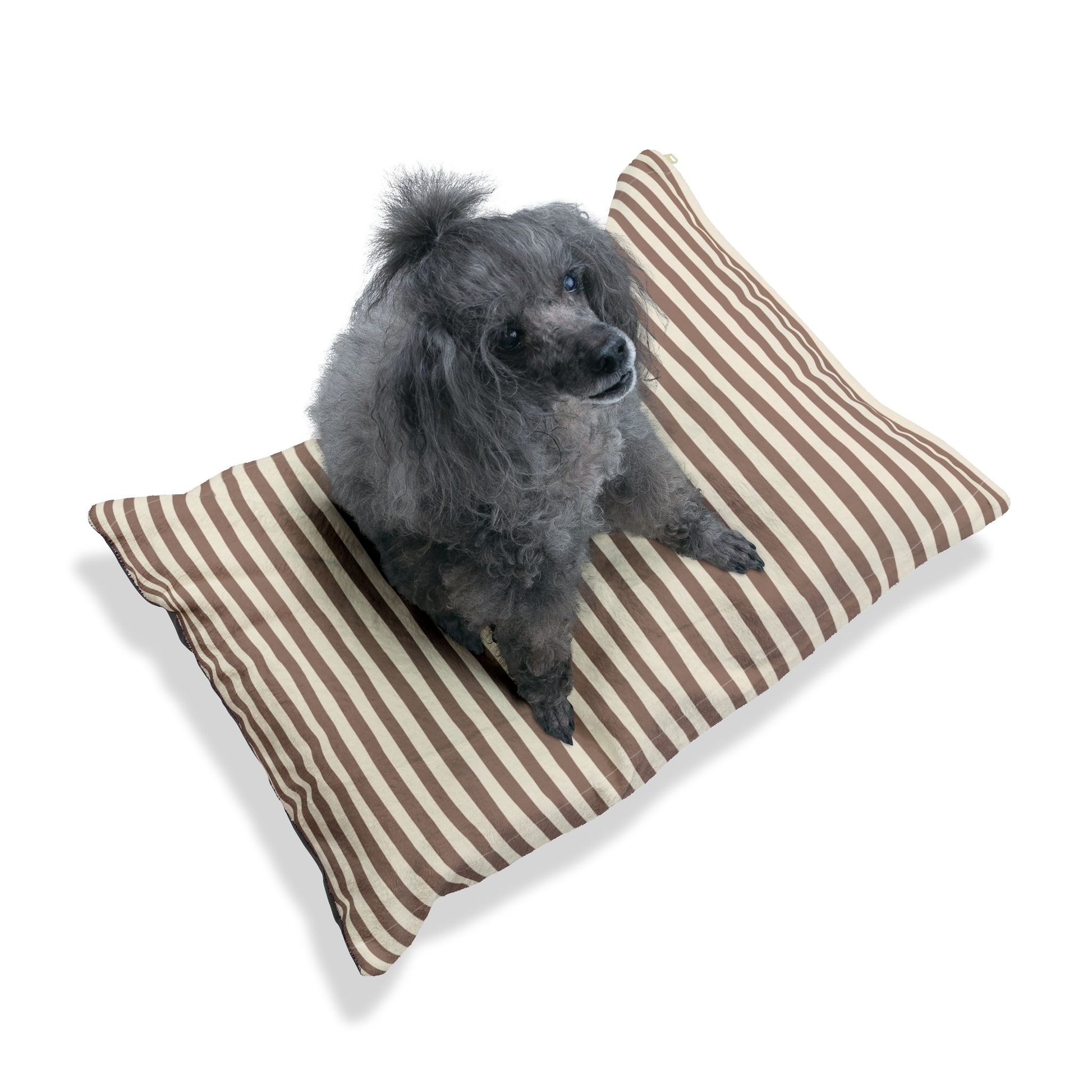 Gray poodle sitting on a brown mocha and beige striped pillow pet dog bed against a white background